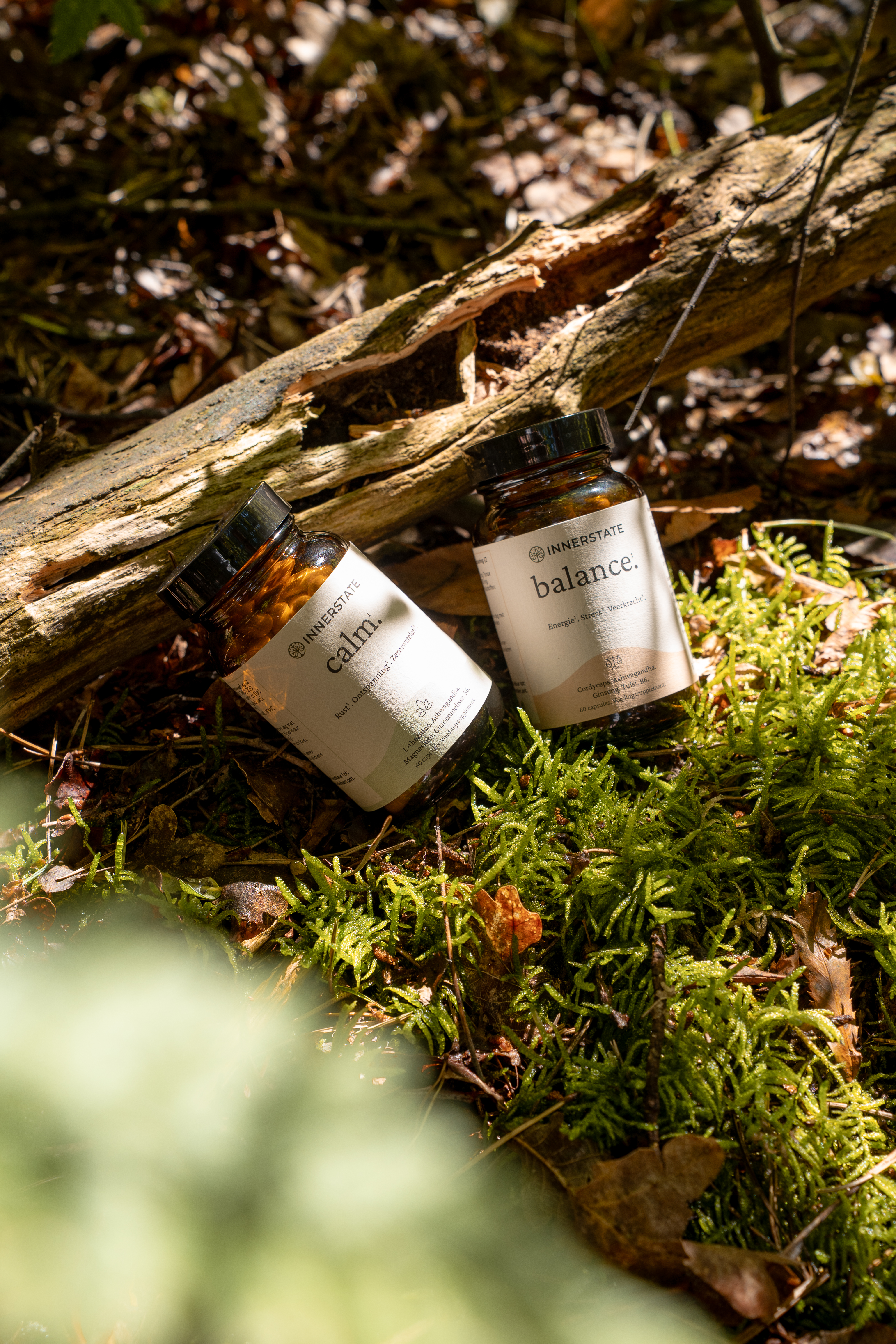 Innerstate calm en balance in de natuur